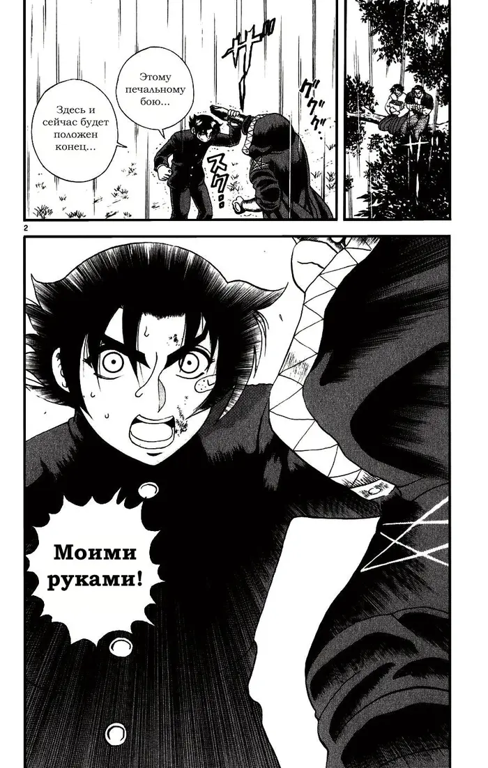 Страница 2