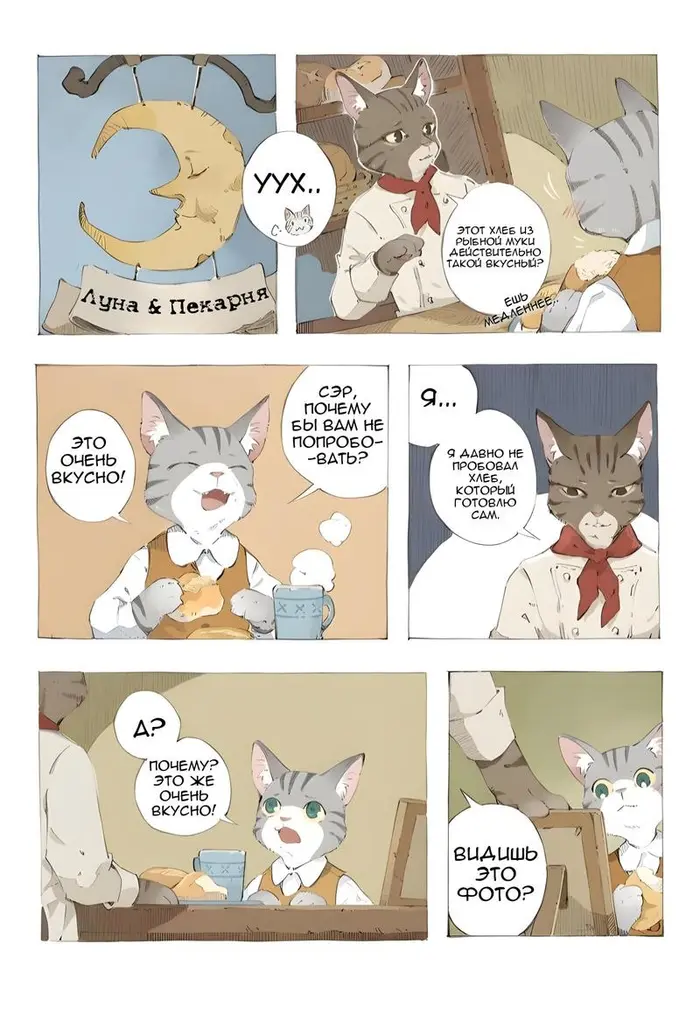 Страница 15