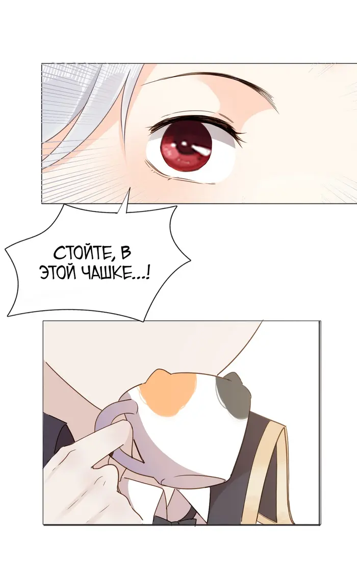 Страница 44