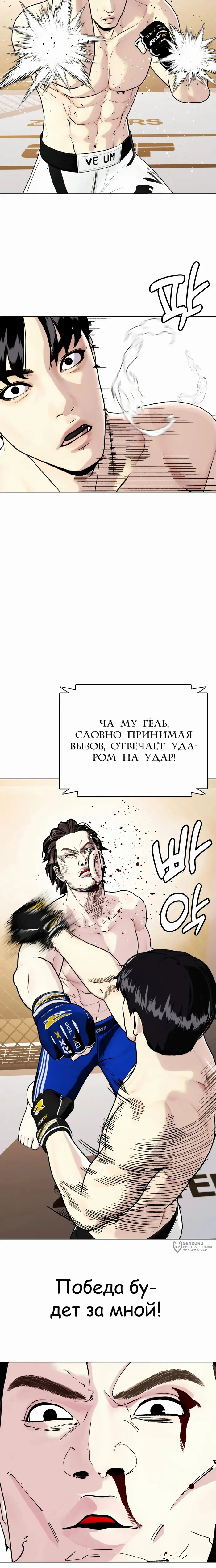 Страница 17