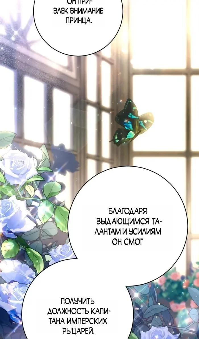 Страница 102