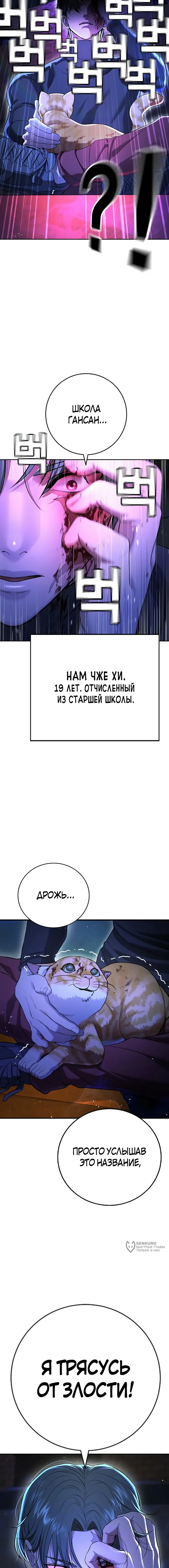 Страница 25
