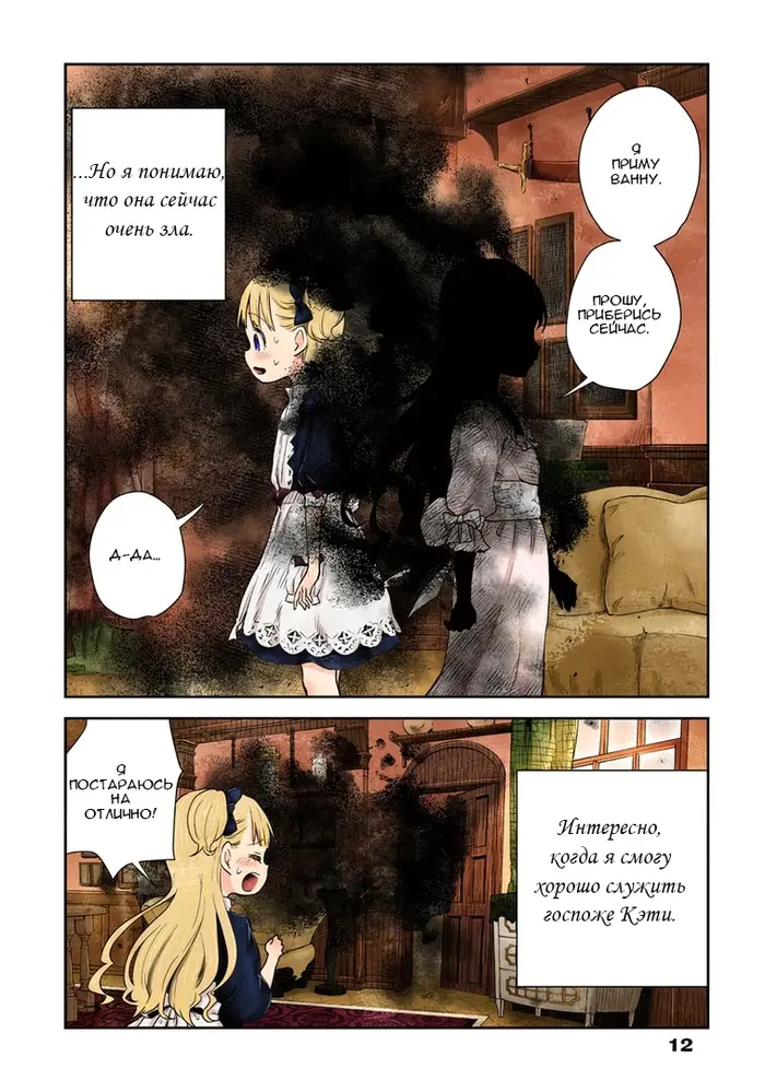 Страница 12