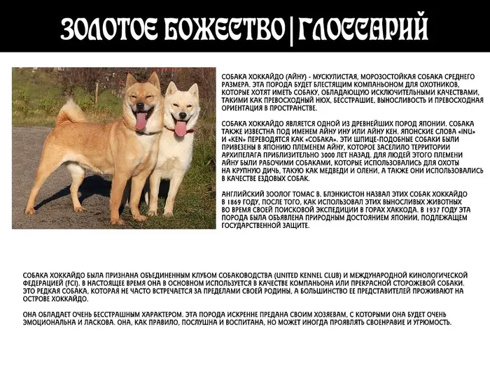 Страница 20