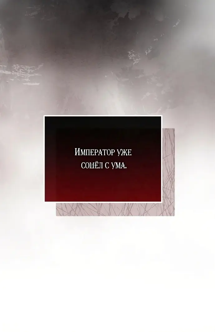 Страница 81