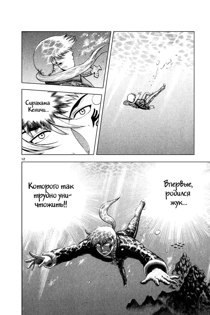 Страница 13