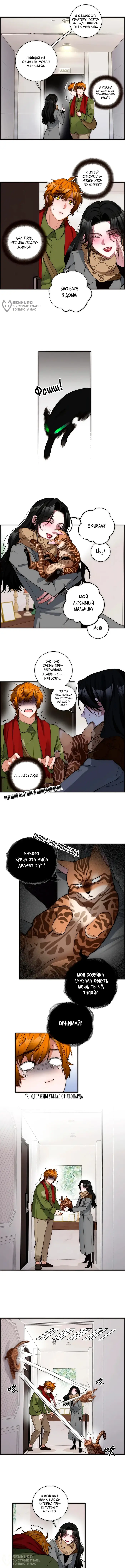 Страница 4