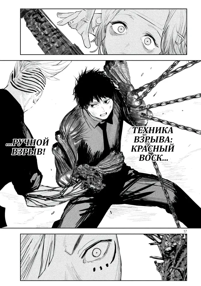 Страница 17