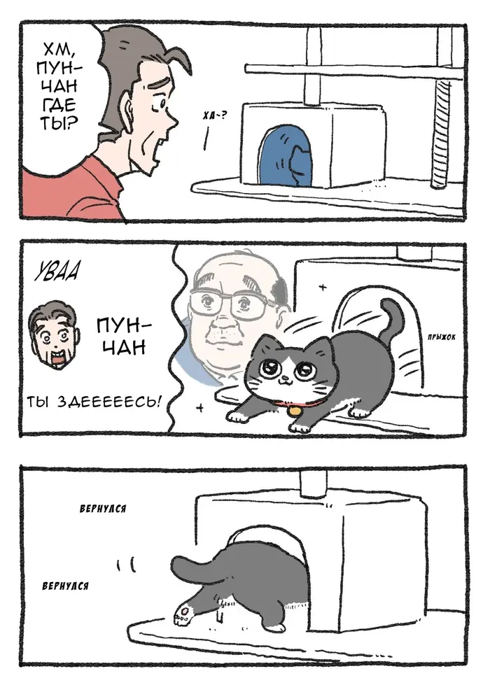 Страница 1