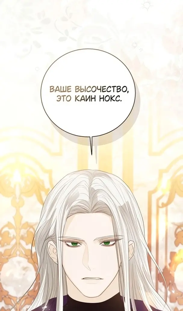 Страница 107