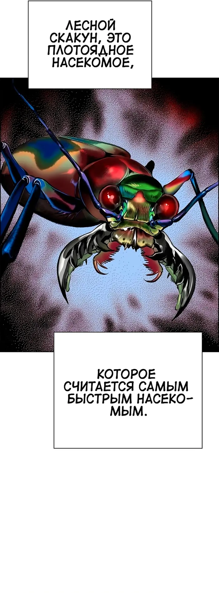 Страница 69