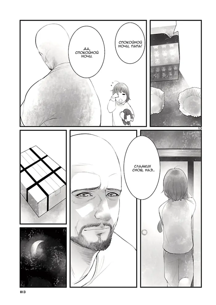 Страница 13