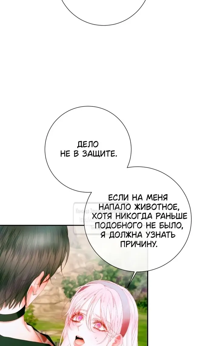 Страница 81