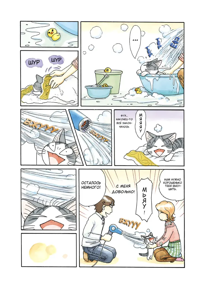 Страница 6