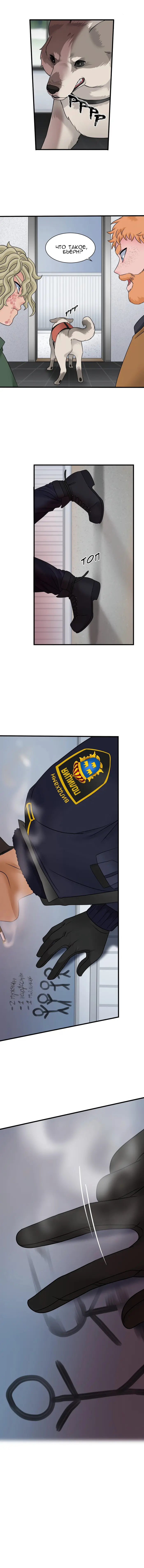 Страница 8