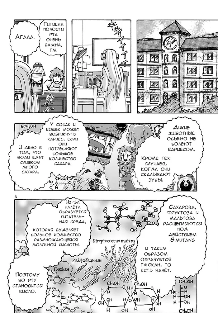 Страница 6