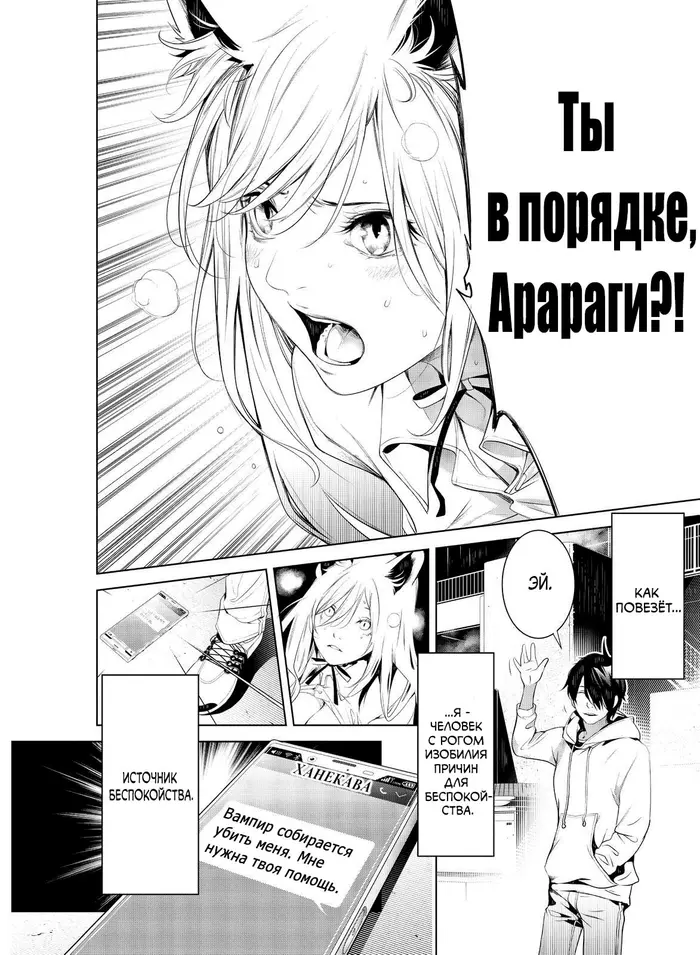 Страница 17