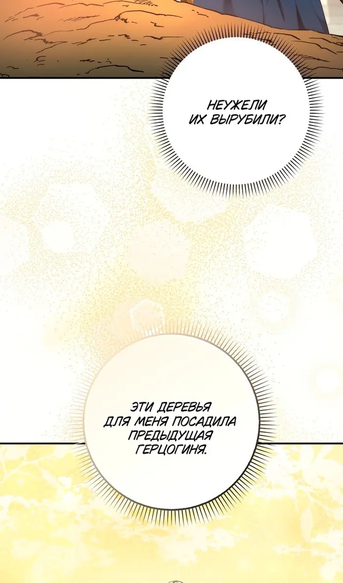 Страница 74