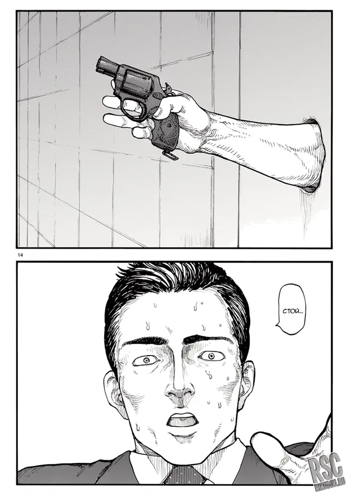 Страница 14