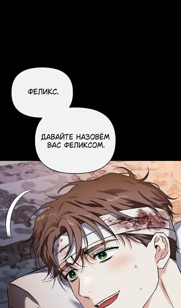 Страница 106