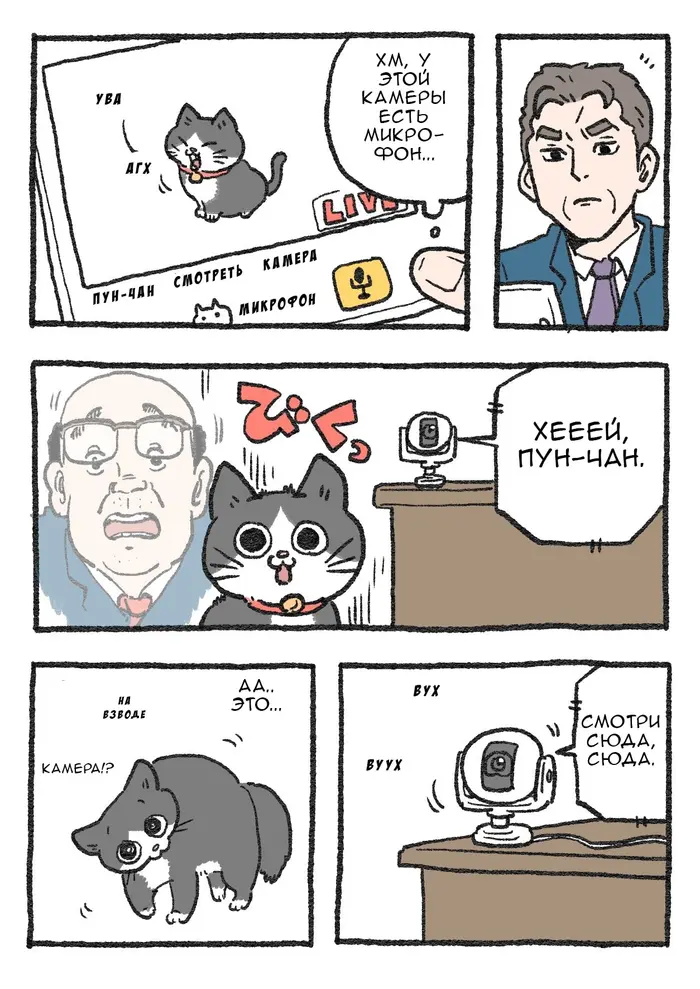 Страница 1