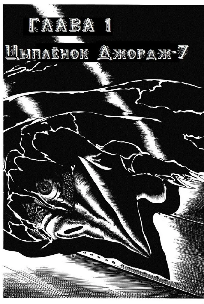 Страница 1