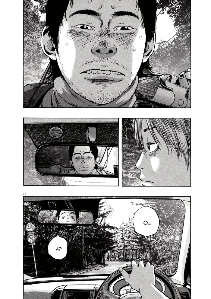 Страница 13