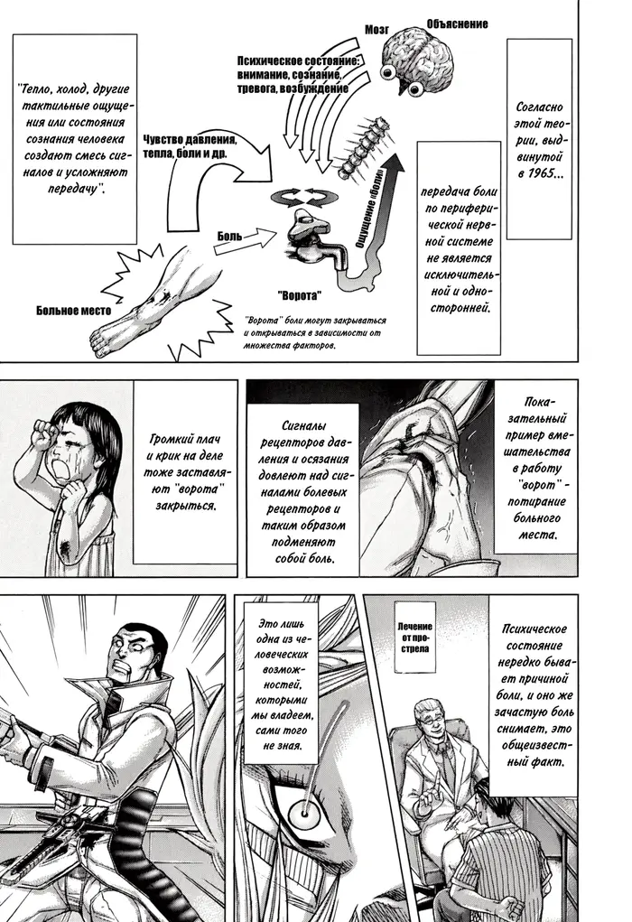 Страница 7