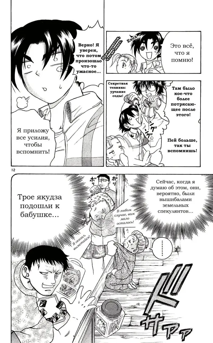 Страница 12