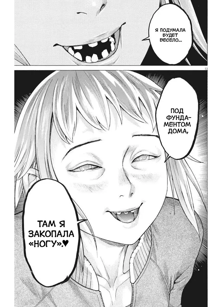 Страница 13