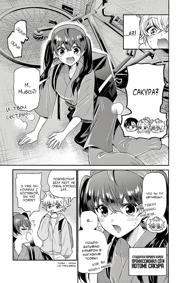 Страница 17